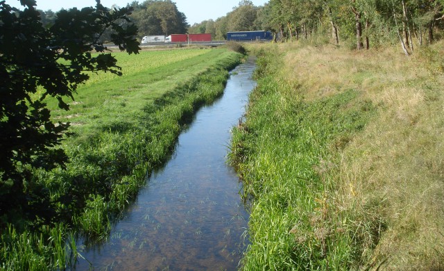 Artenvielfalt @Wilhelm Lucka