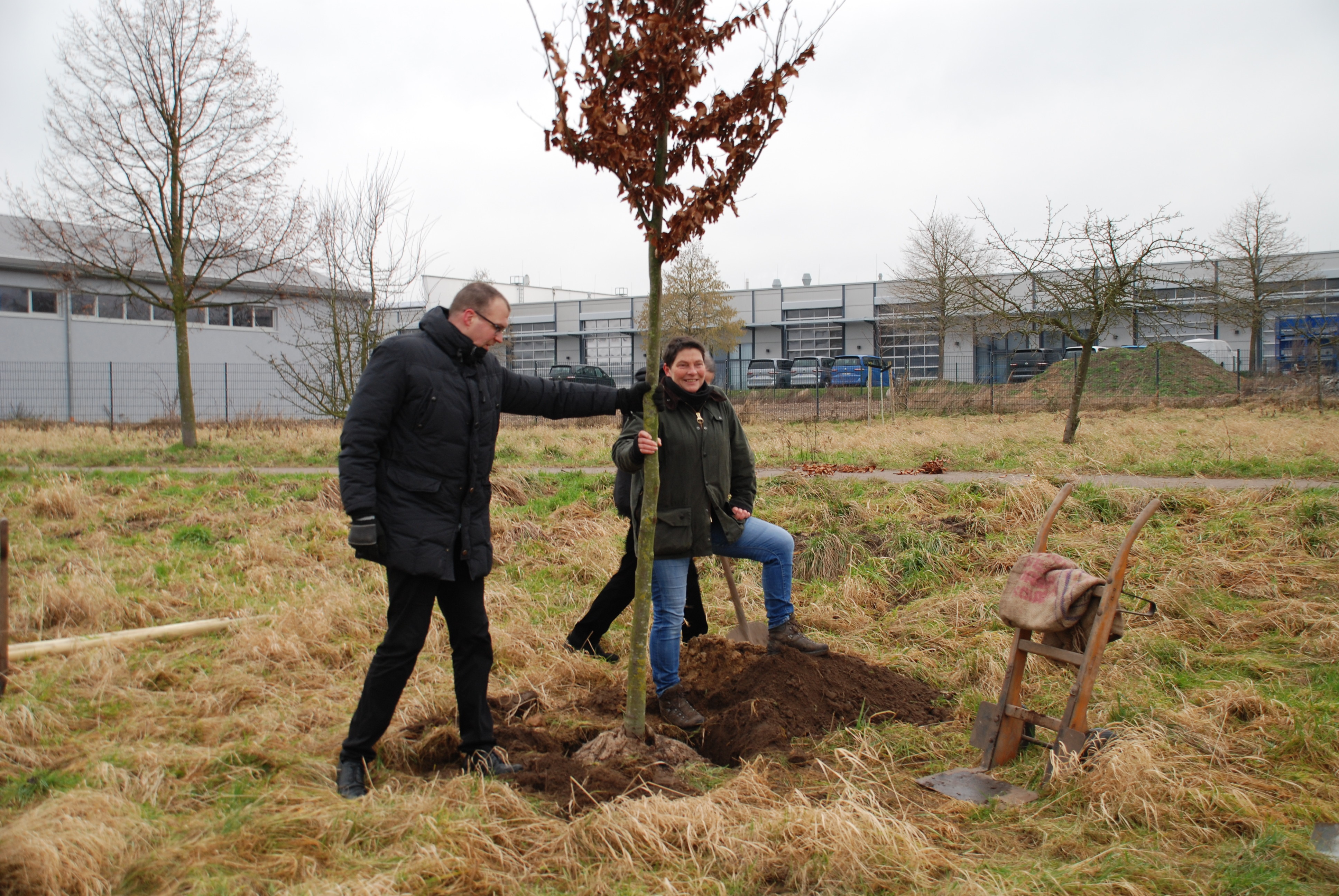 Ein „Baum des Jahres“ für Bissendorf