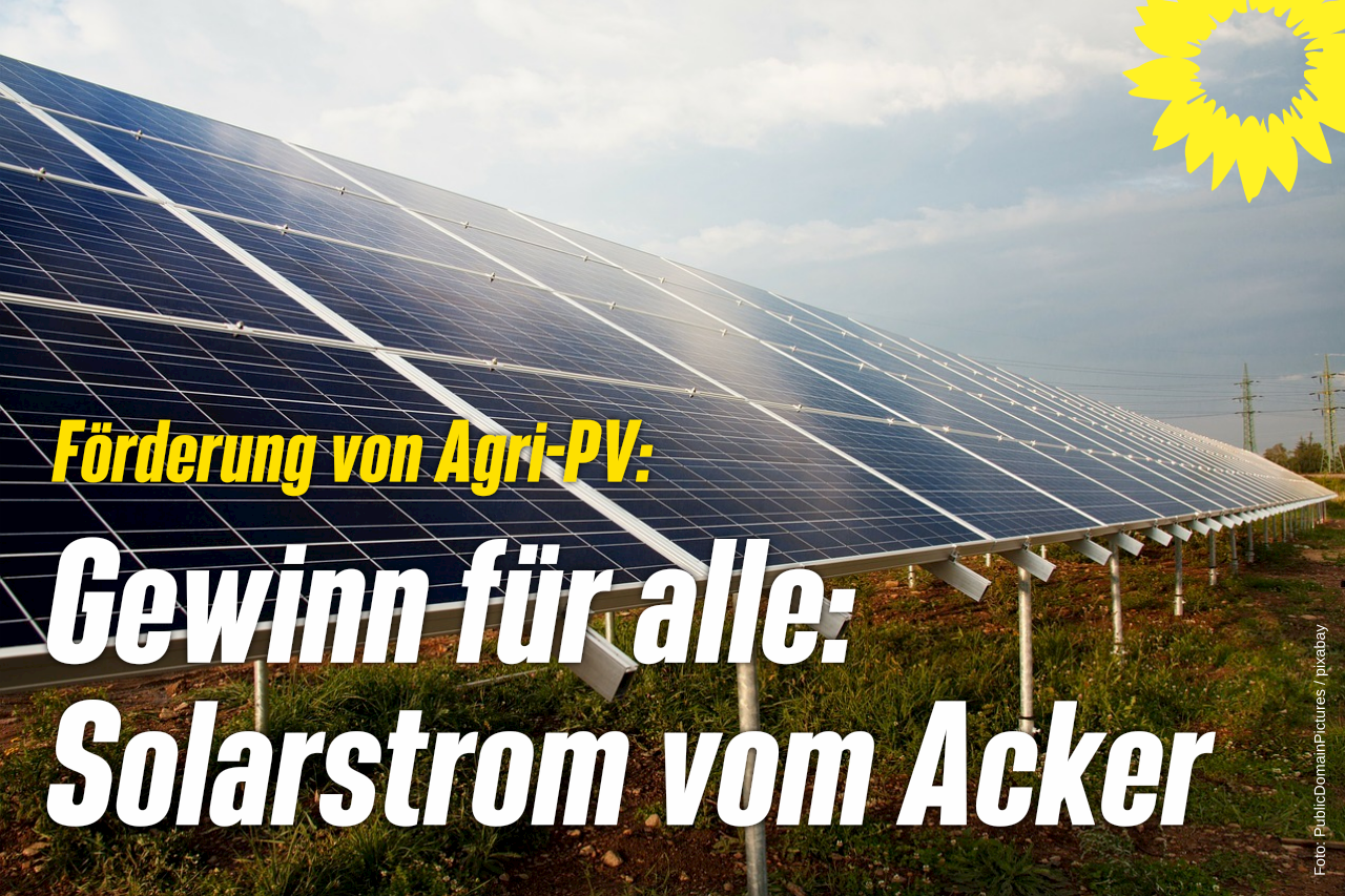 Solarstrom vom Acker