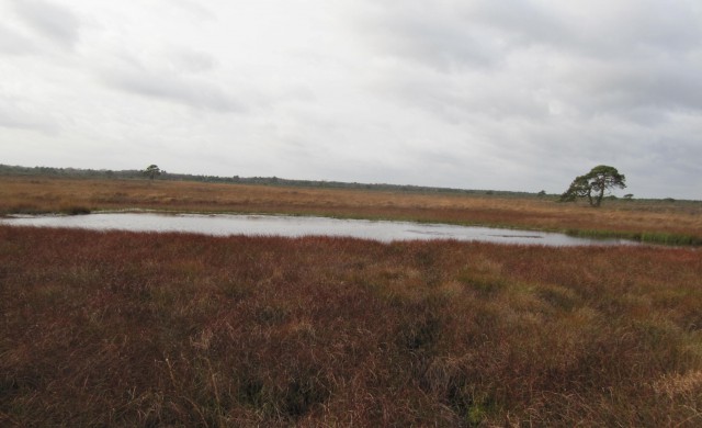 Aktionskreis „Hannoversche Moorgeest“