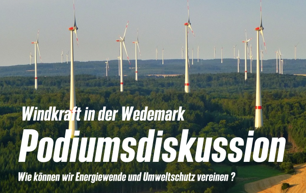 Wie können wir Energiewende und Umweltschutz vereinen?