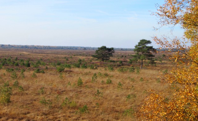 Informationsveranstaltung des Aktionskreises Hannoversche Moorgeest