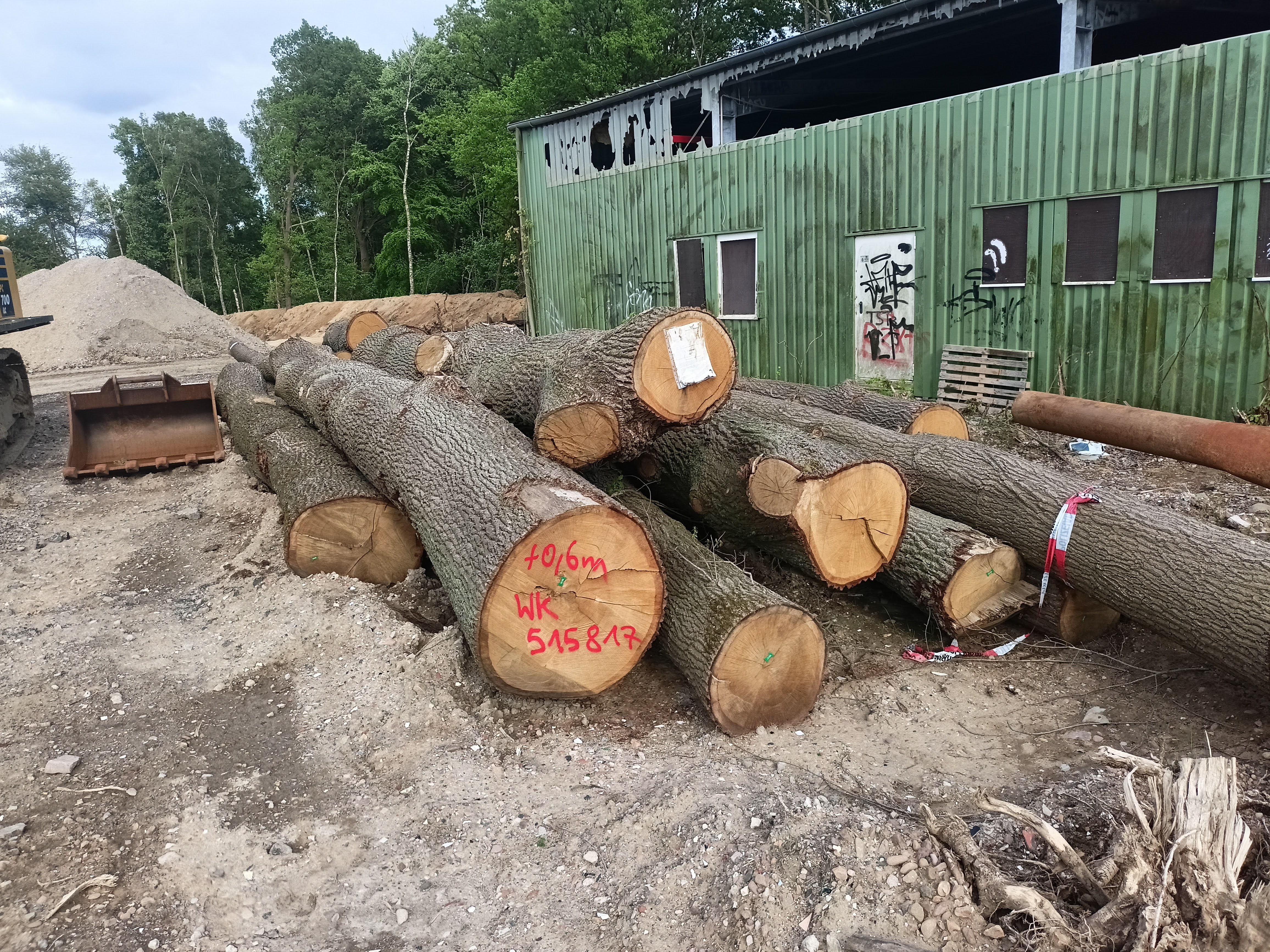 Illegale Waldrodung: Grüne Wedemark stellen Strafanzeige gegen Bauunternehmer Papenburg