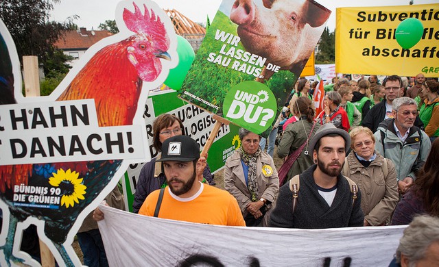 Grüne aus der Wedemark demonstrierten bei "Wir haben es satt" mit.